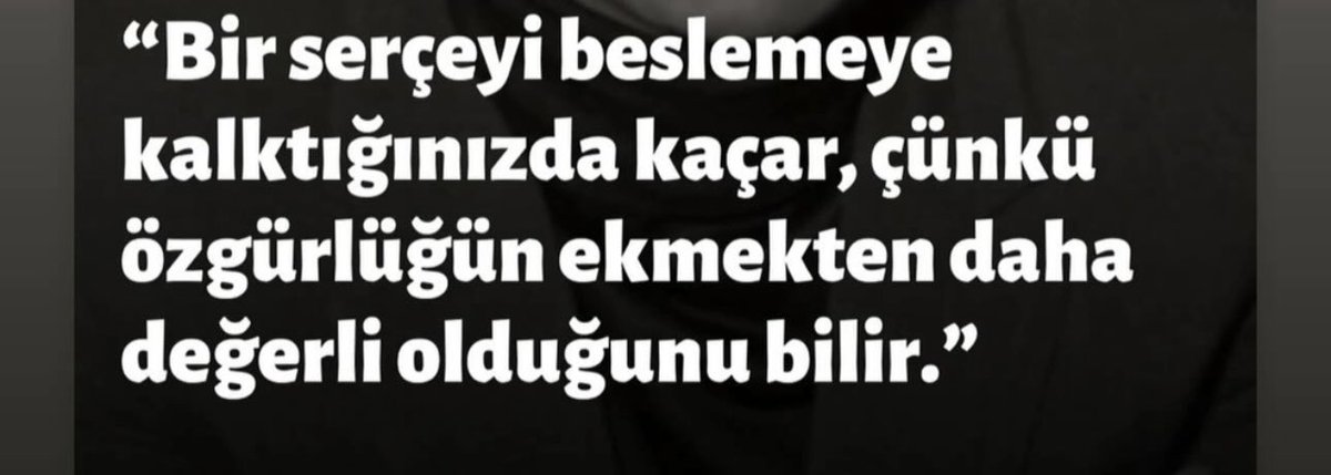 Serçe kadar olunamıyor.