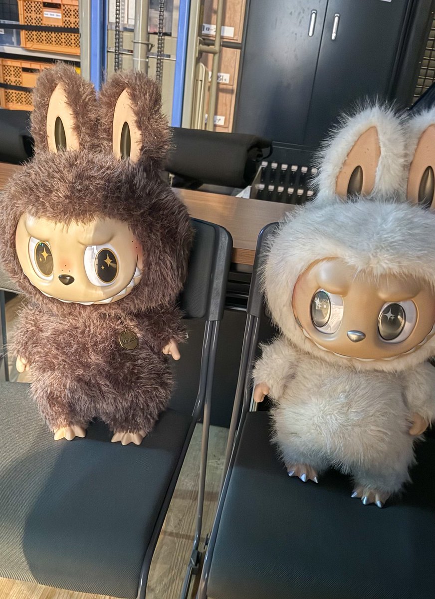 kobayashi_1205's tweet photo. 舞台袖でラブブとジモモ待たせてたら、舞台監督さんがイス2つ出して座らせてくれた🫶 https://t.co/i2rMRQ11ED