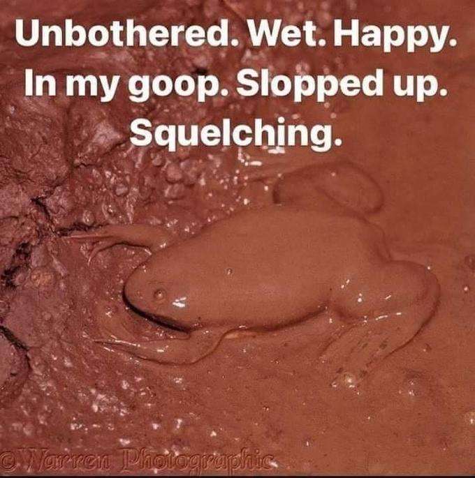 ShitpostGateway (@shitpostgate) on Twitter photo 
