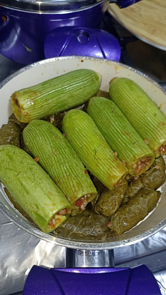 الإنسان بقا شطور أوي 🥰