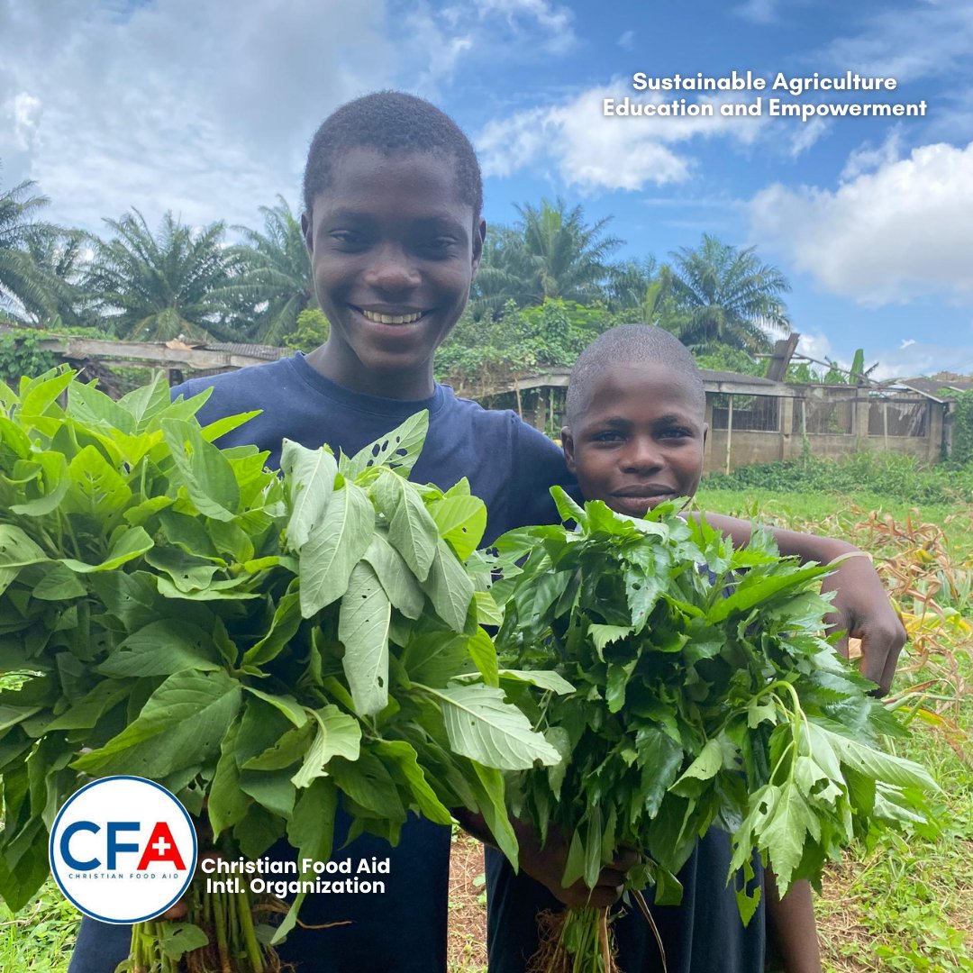 CFA_Intl's tweet image. Yesterday at St. John’s we weeded, taught students how to plant 🥒, and harvested a bounty of  Amaranthus, Jute, 🌽 Corn &amp;amp; 🍅 Tomatoes.
Farming involves learning, growth &amp;amp; reward. 💚

#SAEEProject #ChristianFoodAid #SamaritansPurse