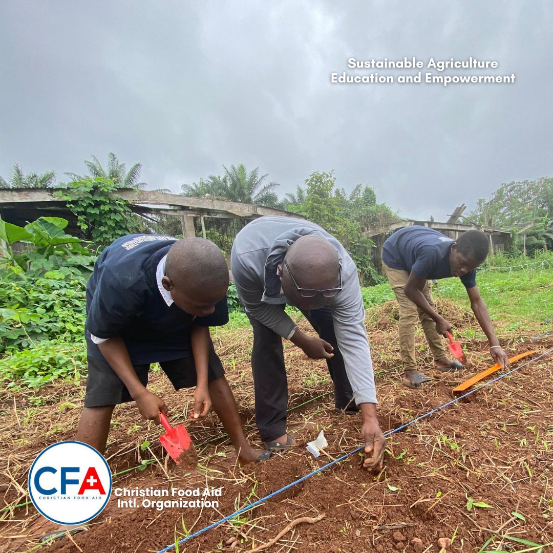 CFA_Intl's tweet image. Yesterday at St. John’s we weeded, taught students how to plant 🥒, and harvested a bounty of  Amaranthus, Jute, 🌽 Corn &amp;amp; 🍅 Tomatoes.
Farming involves learning, growth &amp;amp; reward. 💚

#SAEEProject #ChristianFoodAid #SamaritansPurse