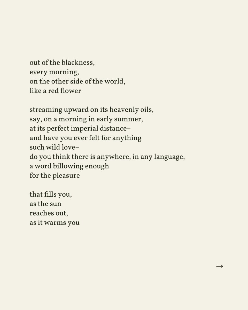 readalittlepoem's tweet photo. Today’s poem is selected by the Estate of Mary Oliver as part of the 20th anniversary of Read A Little Poetry.

We share this poem in celebration of Mary's birthday today, September 10th. https://t.co/fDzOcKTSPh