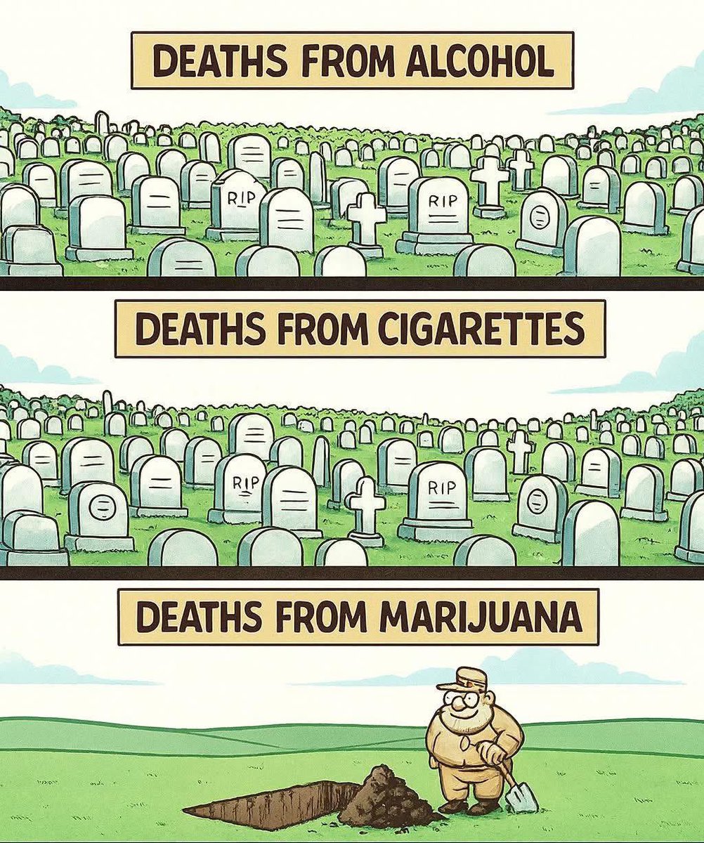 daviddinenberg's tweet image. Why is #Cannabis on any schedule?  #LegalizeIt #CannabisCommunity #Mmemberville