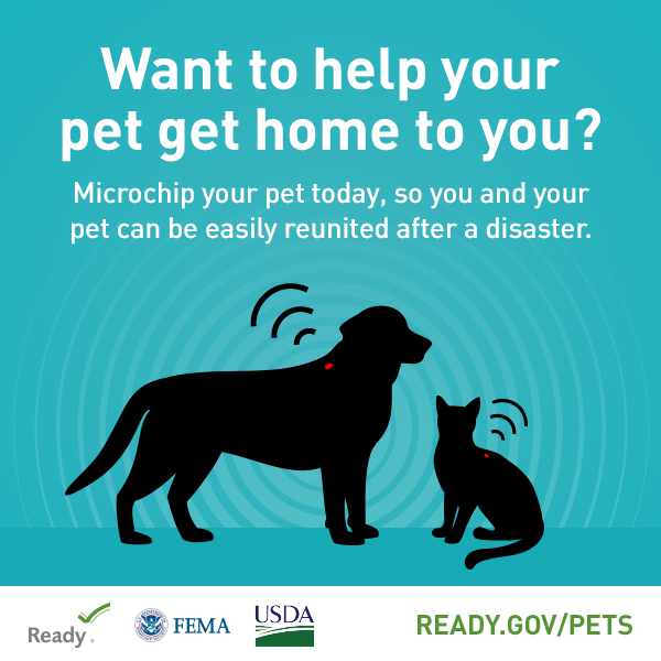 RoswellGAFire's tweet image. Pets are family too. Pack food, meds, leash, and a recent photo. Add your vet’s info to your plan. Prepared people + prepared pets = a #SaferRoswell. #PetPreparedness #RoswellGA #ReadyRoswell