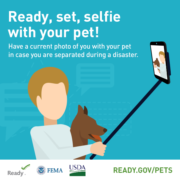 RoswellGAFire's tweet image. Pets are family too. Pack food, meds, leash, and a recent photo. Add your vet’s info to your plan. Prepared people + prepared pets = a #SaferRoswell. #PetPreparedness #RoswellGA #ReadyRoswell