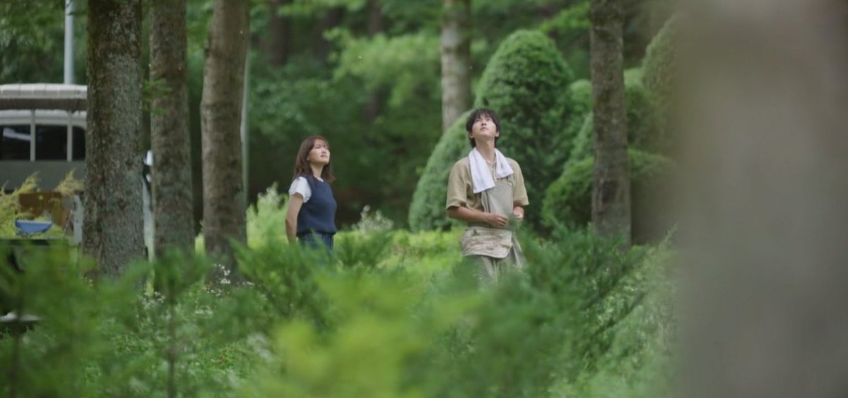 kdrama_menfess's tweet photo. •kdm• ⚠️ MY YOUTH 🔥

Aku baru nonton eps 1 knp mereka udh gemess aja, sinematografinya cantik bgt, tiap scene secantik itu, bgm/ost-nya juga vibesnya nenangin bgt kayak dengerin musik lofi 😭 https://t.co/3APBzQeb7Y