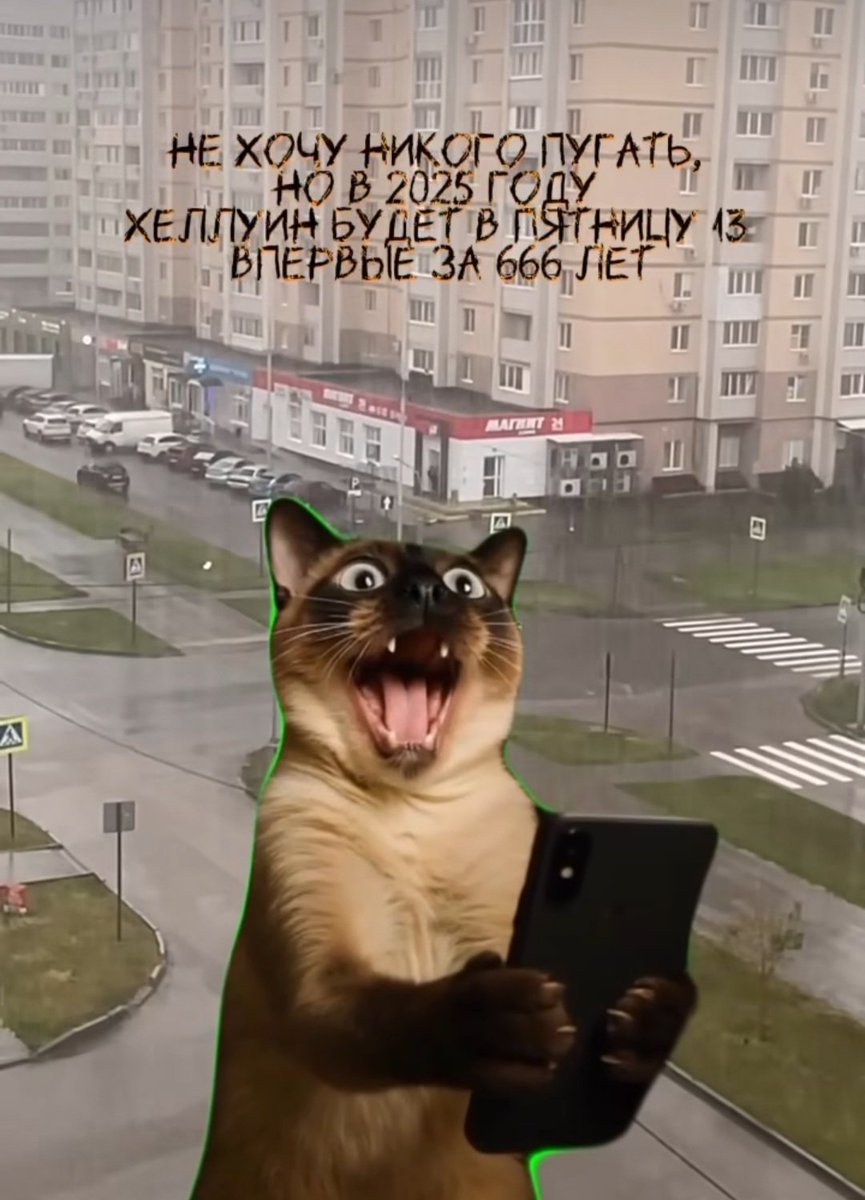 Лиса #ПротивВойны (@fanatism_hater) on Twitter photo 