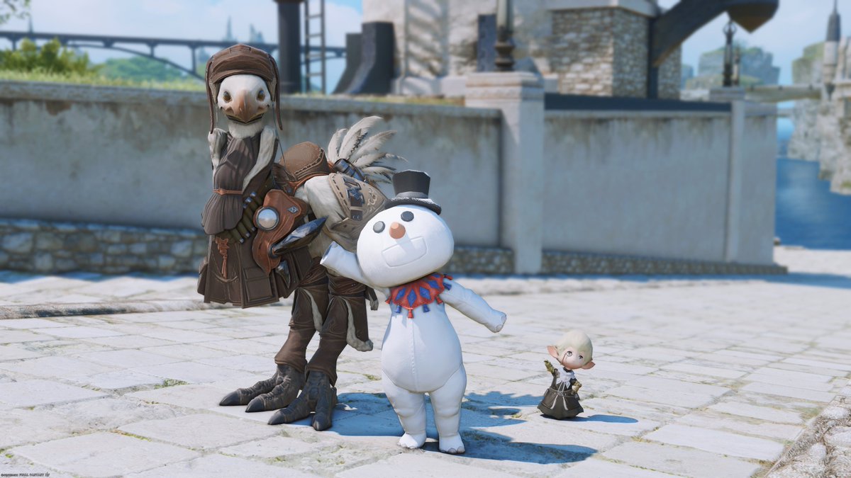 いつかは・・・！って思ってた白チョコボ！
うまく生え変わってくれた！
しえるさん感謝！！