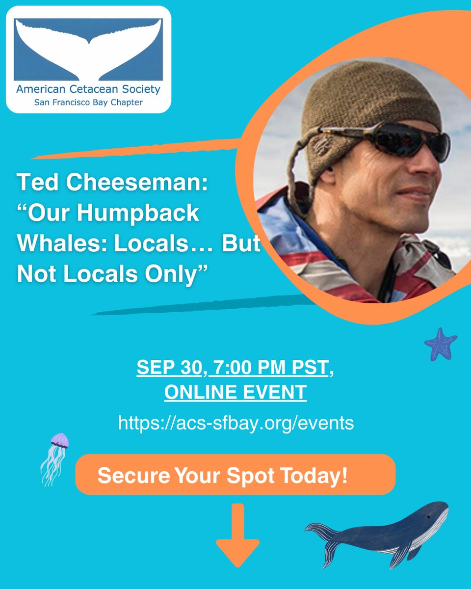 Ted Cheeseman: "Our Humpback Whales: Locals… but not locals only"
Tuesday, September 30, 2025
7:00 PM  8:30 PM
Register now: bit.ly/acs-sfbay-TChe…