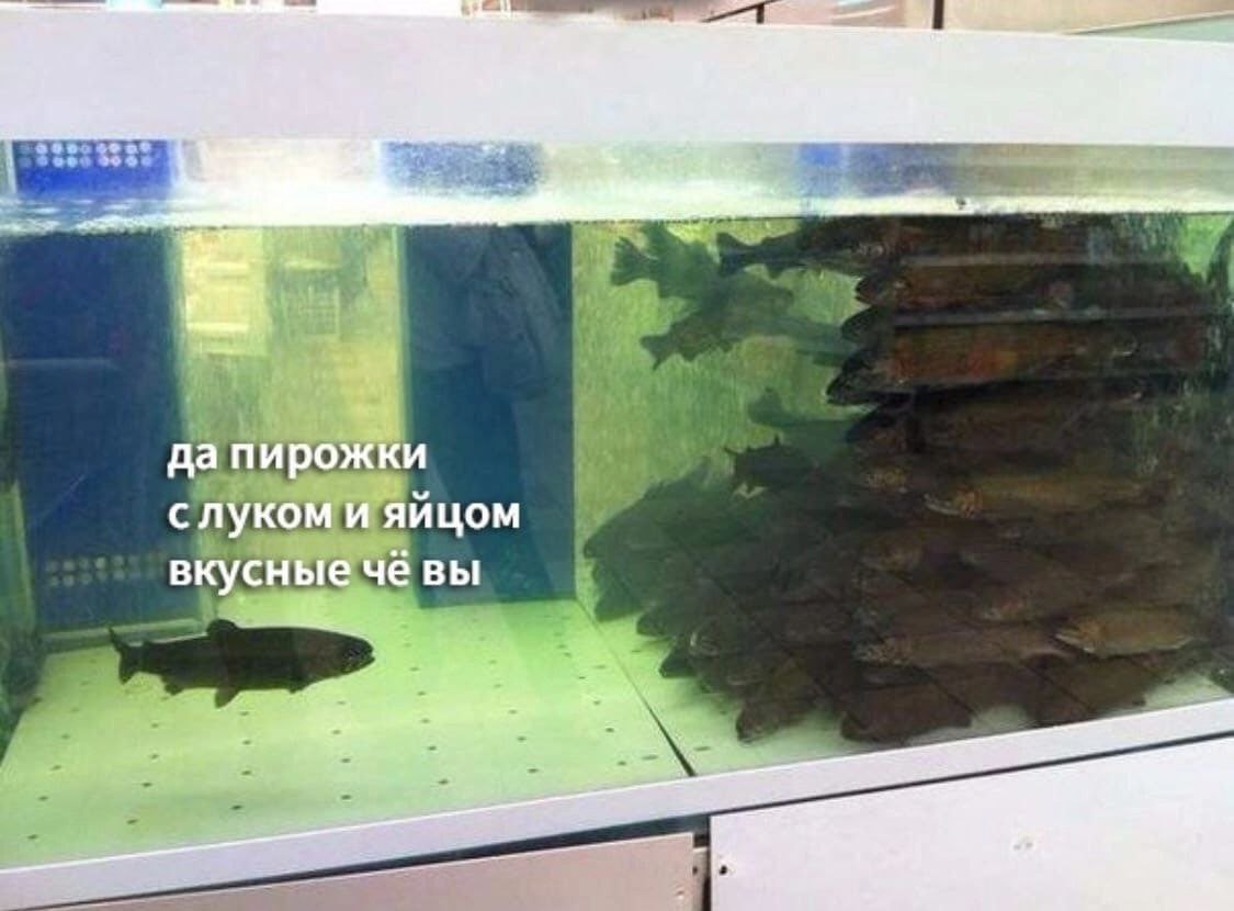 AbelFrost7's tweet photo. Потому я так одинок в обществе.................................................. https://t.co/r9bO97Jo2a