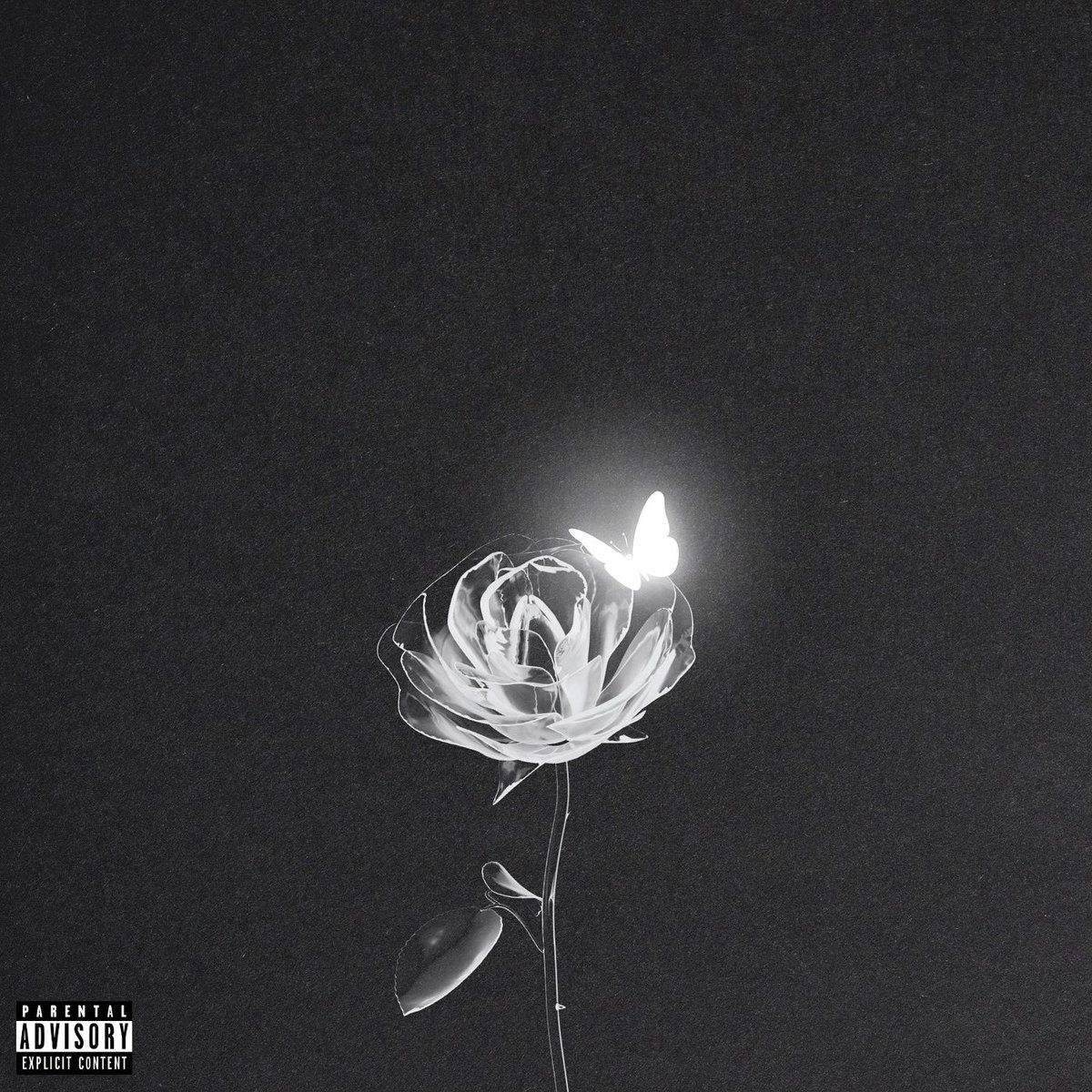 007 Mixtape #Drilltuga #Pdsgang