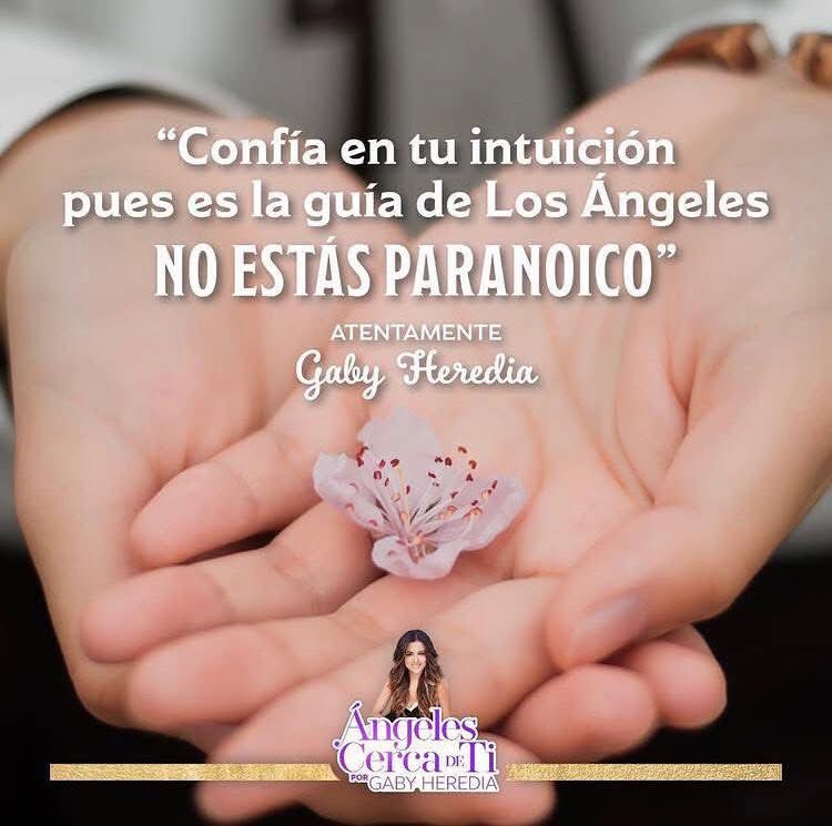 Angelcercadeti's tweet photo. Por si no lo sabías...
Esa intuición que sentimos en momentos es la guía de tus Ángeles. 

Es una de las muchas formas en que se comunican con nosotros.

Con cariño
Gaby Heredia
Ángeles cerca de ti https://t.co/avjsq9KgOk