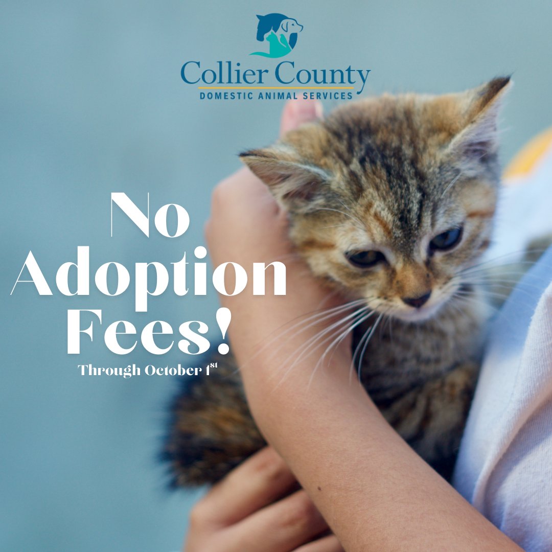 Collier County Government tweet media