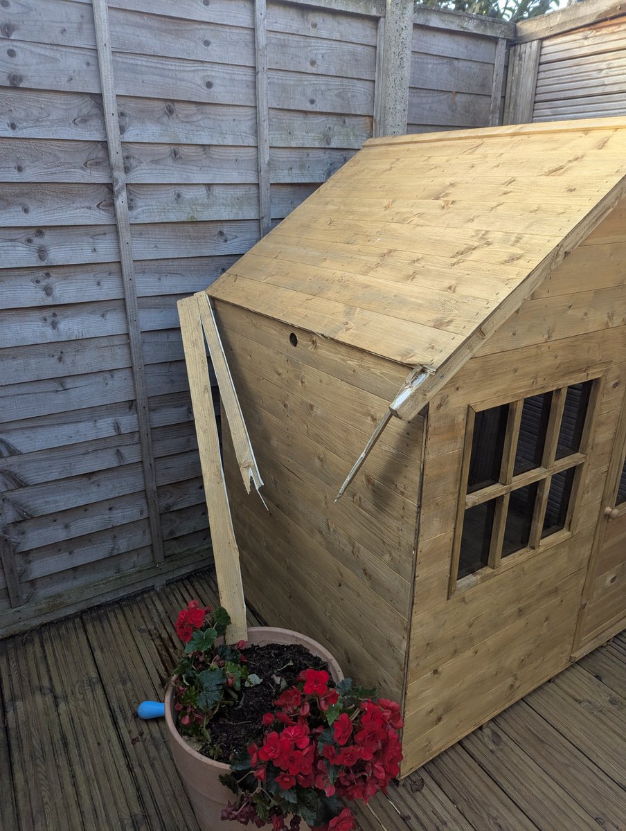 Grace Garland tweet media