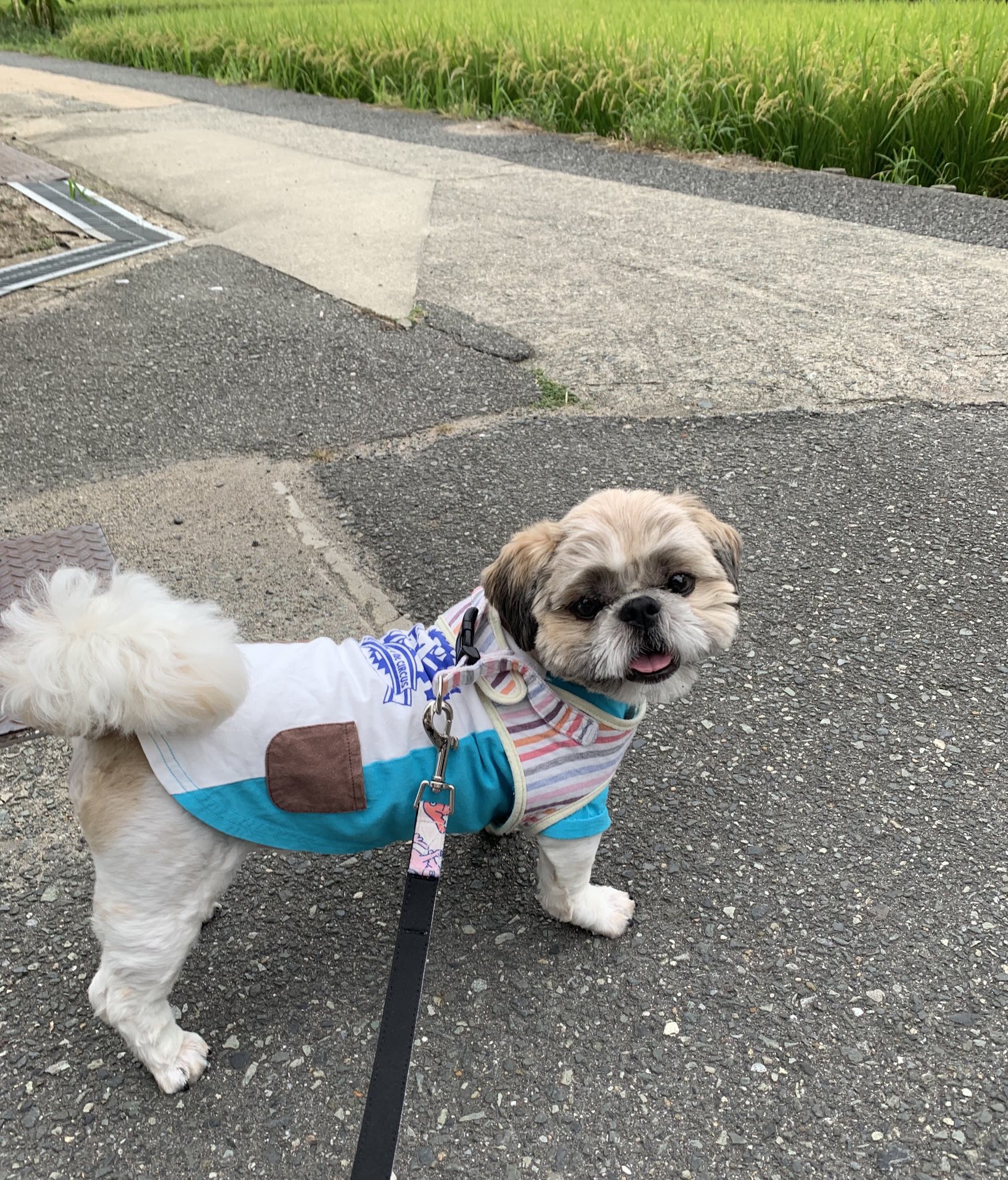 るんるん (@uEkUbof0KAaQukX) / X