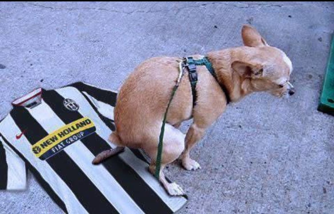 . parka 💀 tweet media