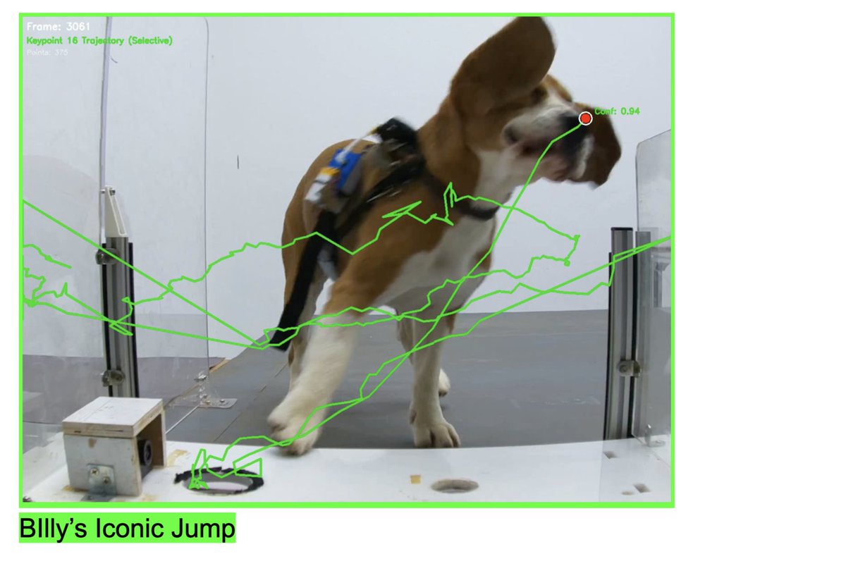 we're hard at work mapping billy's iconic somersault