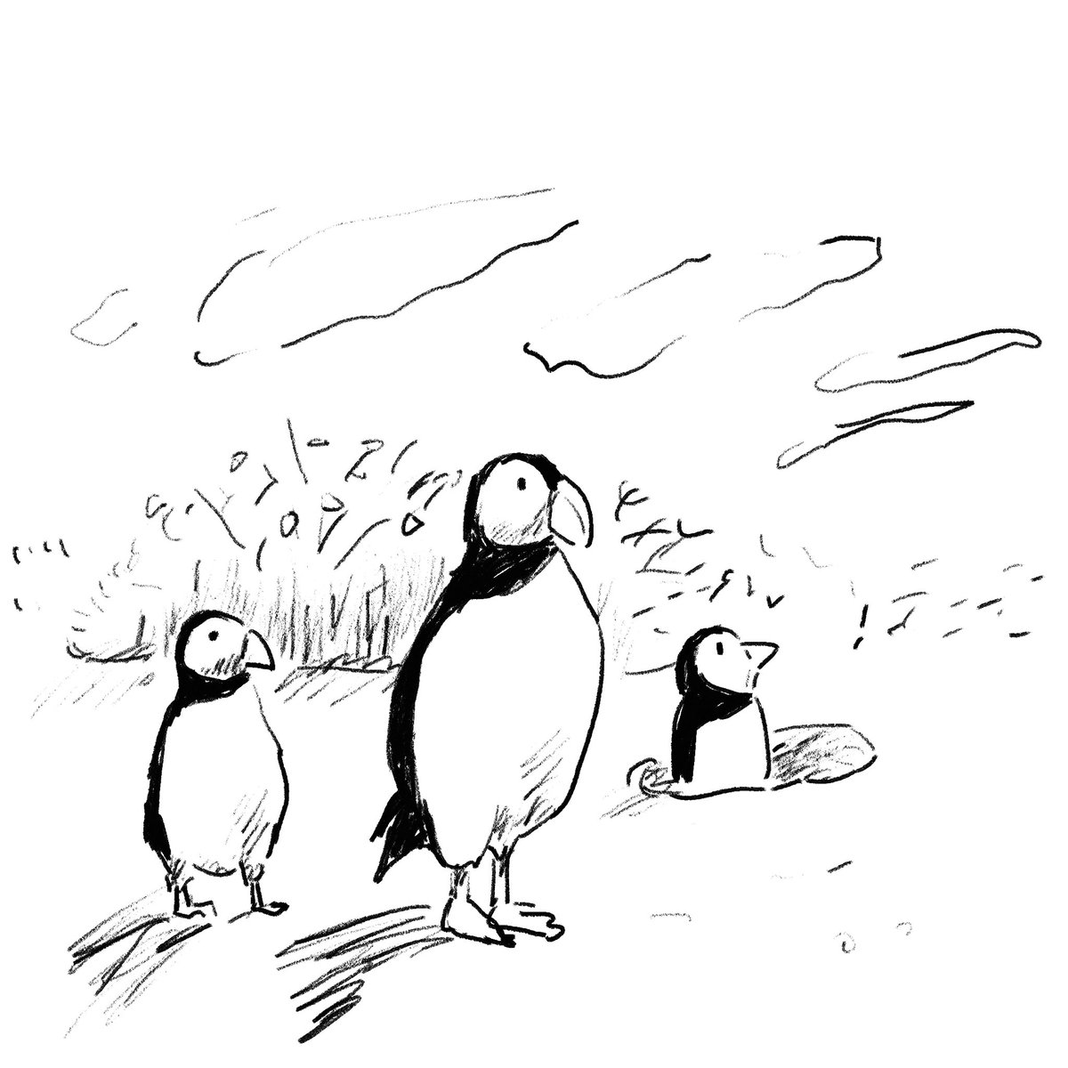 光永これゆき tweet media