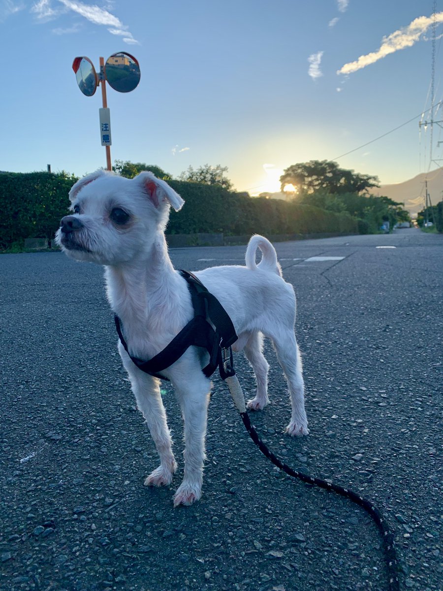 corsa59 (@corsa_st) / Posts / X