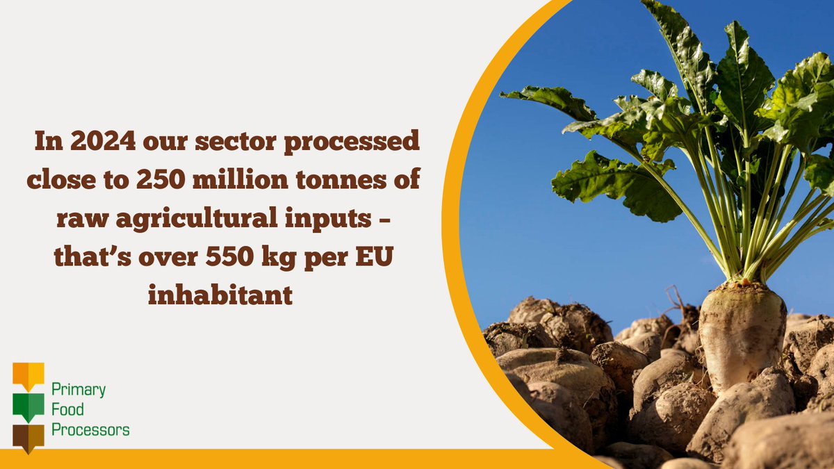 Primary Food Processors tweet media