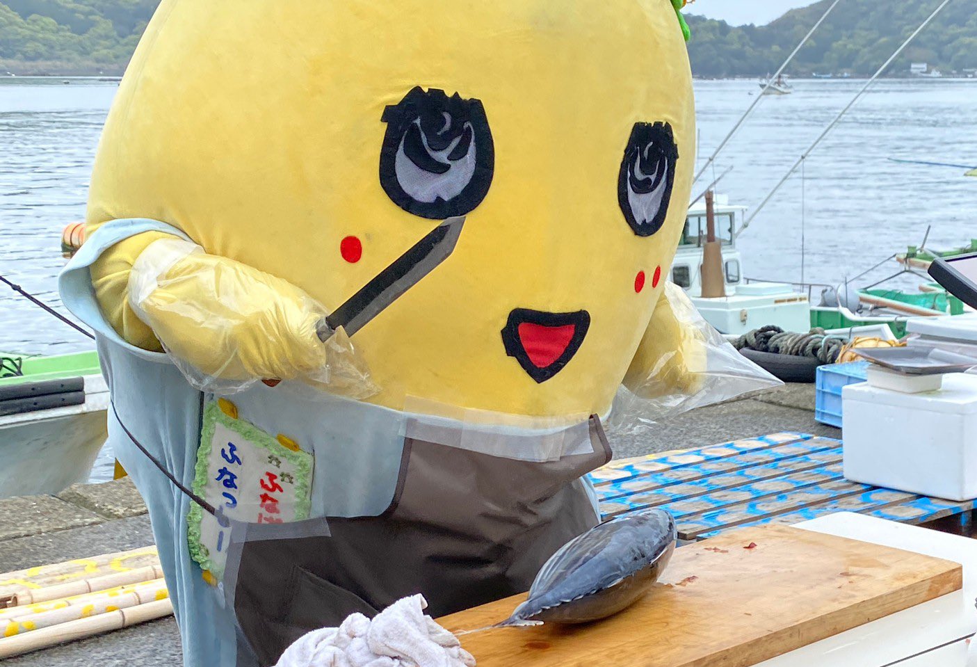 ふなっしー💙 (@funassyi) / X