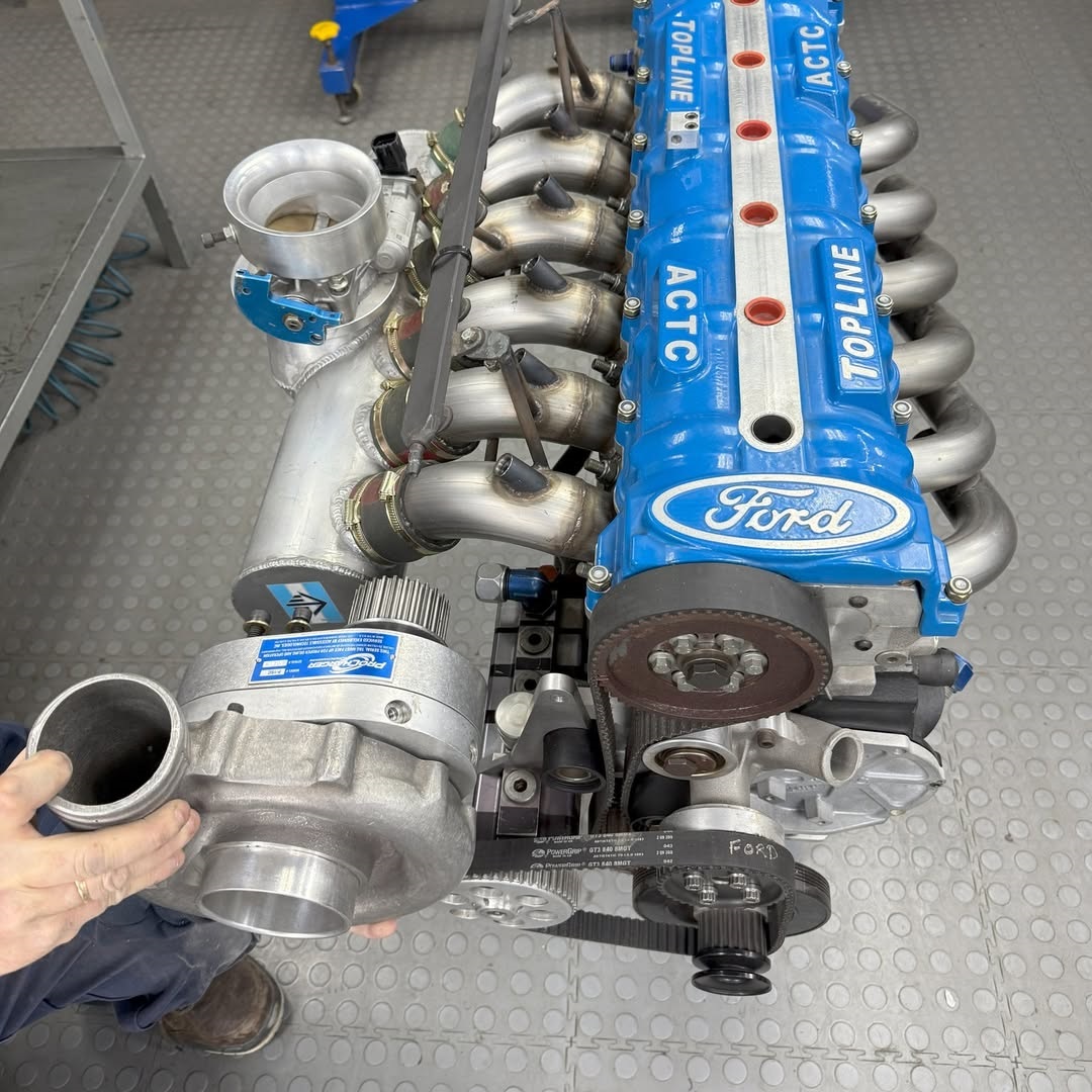 Campeones 🦅 tweet media