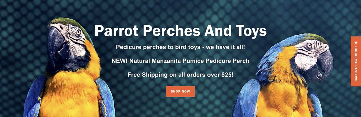 SweetFeet_Beak's tweet image. Nature is beautiful. How does your bird show you affection? 

Show your winged friend that you care with a Sweet Feet &amp;amp; Beak toy: 👇
sweetfeetandbeak.com/collections/al…

#MadeinUSA #birdtoys #prettybird #SFB #pedicureperch #shredtoys #preen