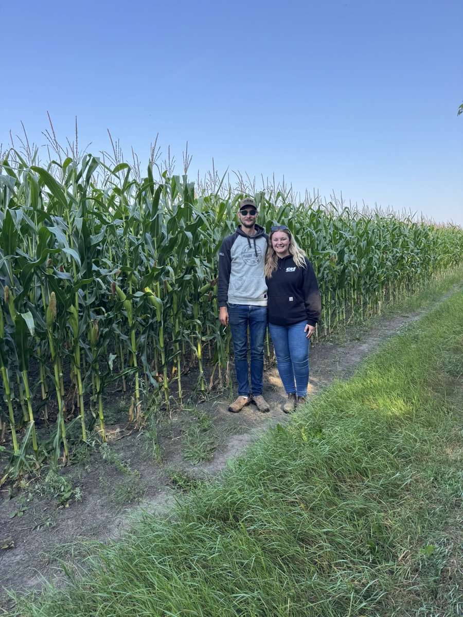 Jesse Bernard tweet media