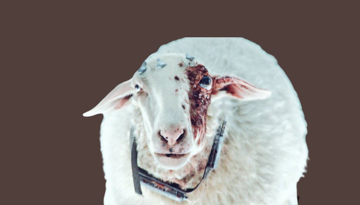 CINEM0RPH's tweet image. 