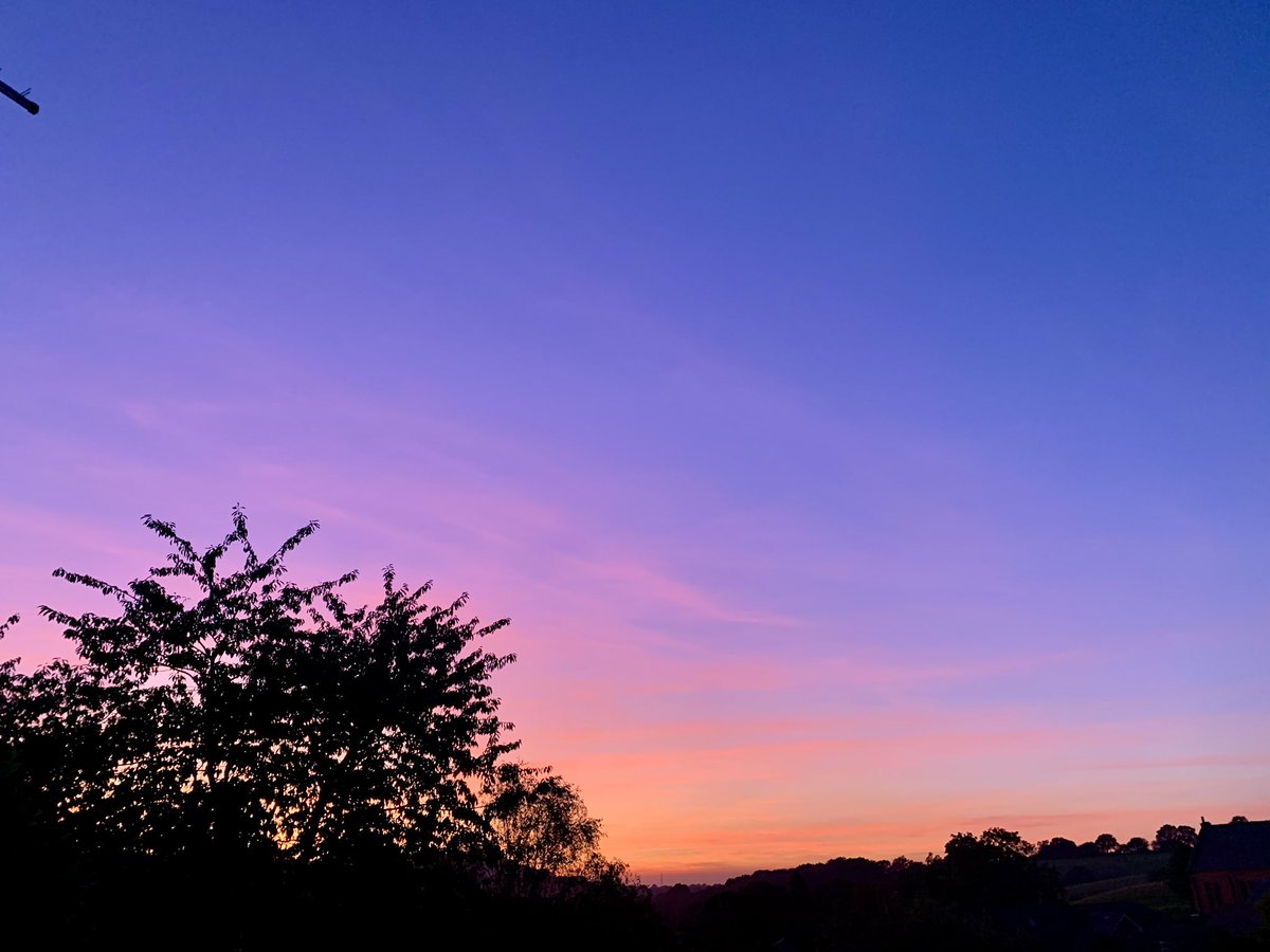 LPT Youth Advisory Board (YAB) tweet media