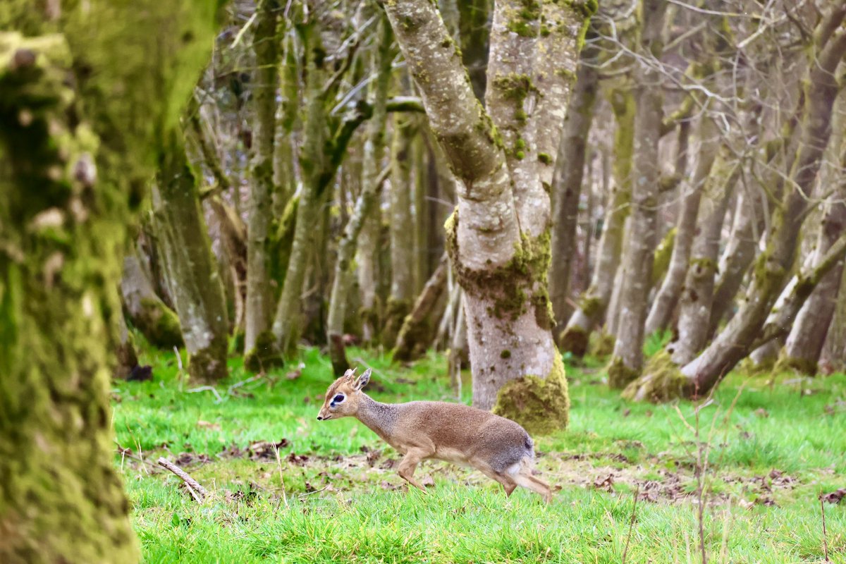 LPT Youth Advisory Board (YAB) tweet media