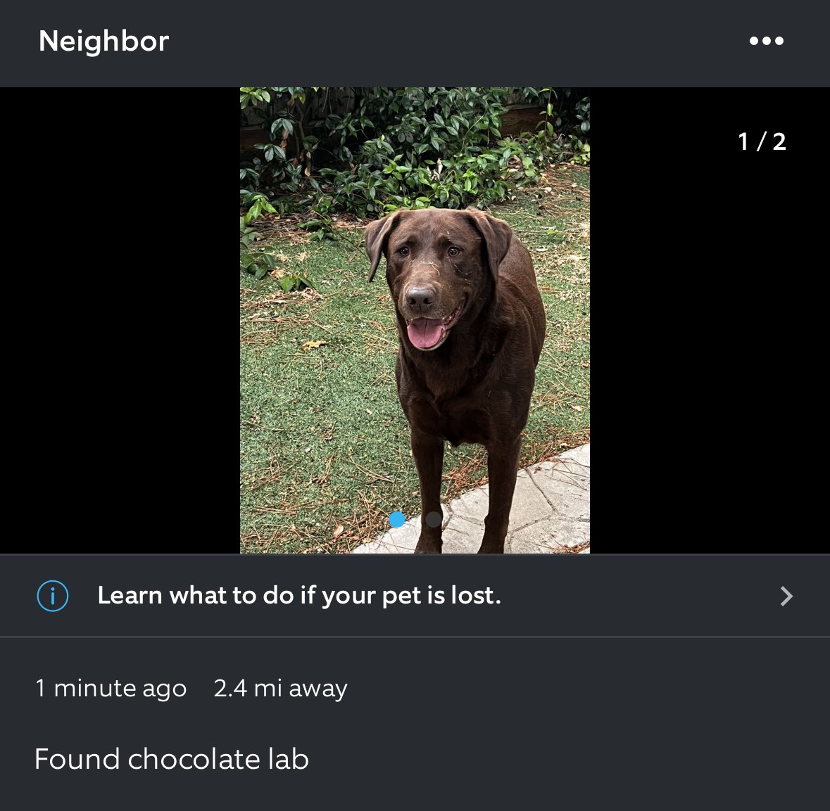 Empty Sea Audio tweet media