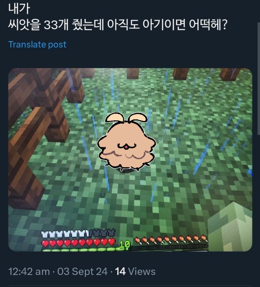 똥개 (@p__0p) on Twitter photo 