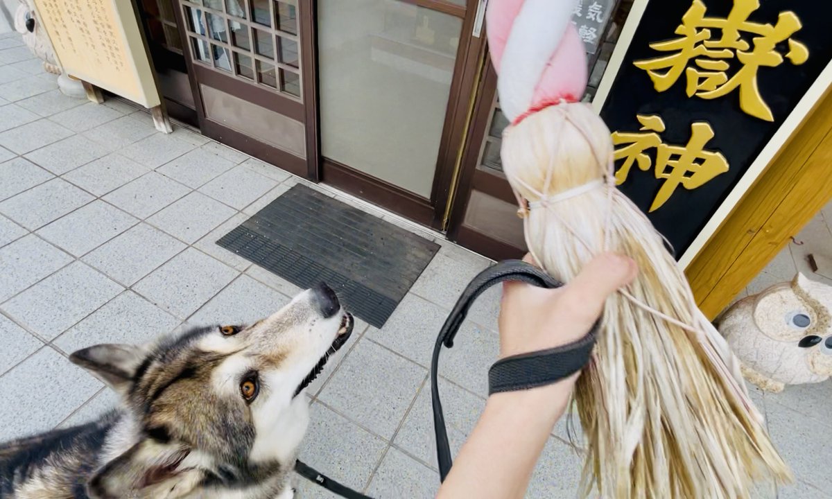 ドッグランの隣にある神社です。社殿の中もペット同伴可能らしく、初めてイデアと奥までお邪魔しました。
絵馬も犬猫の顔型や足跡の形の物だらけでした。

#イデックス