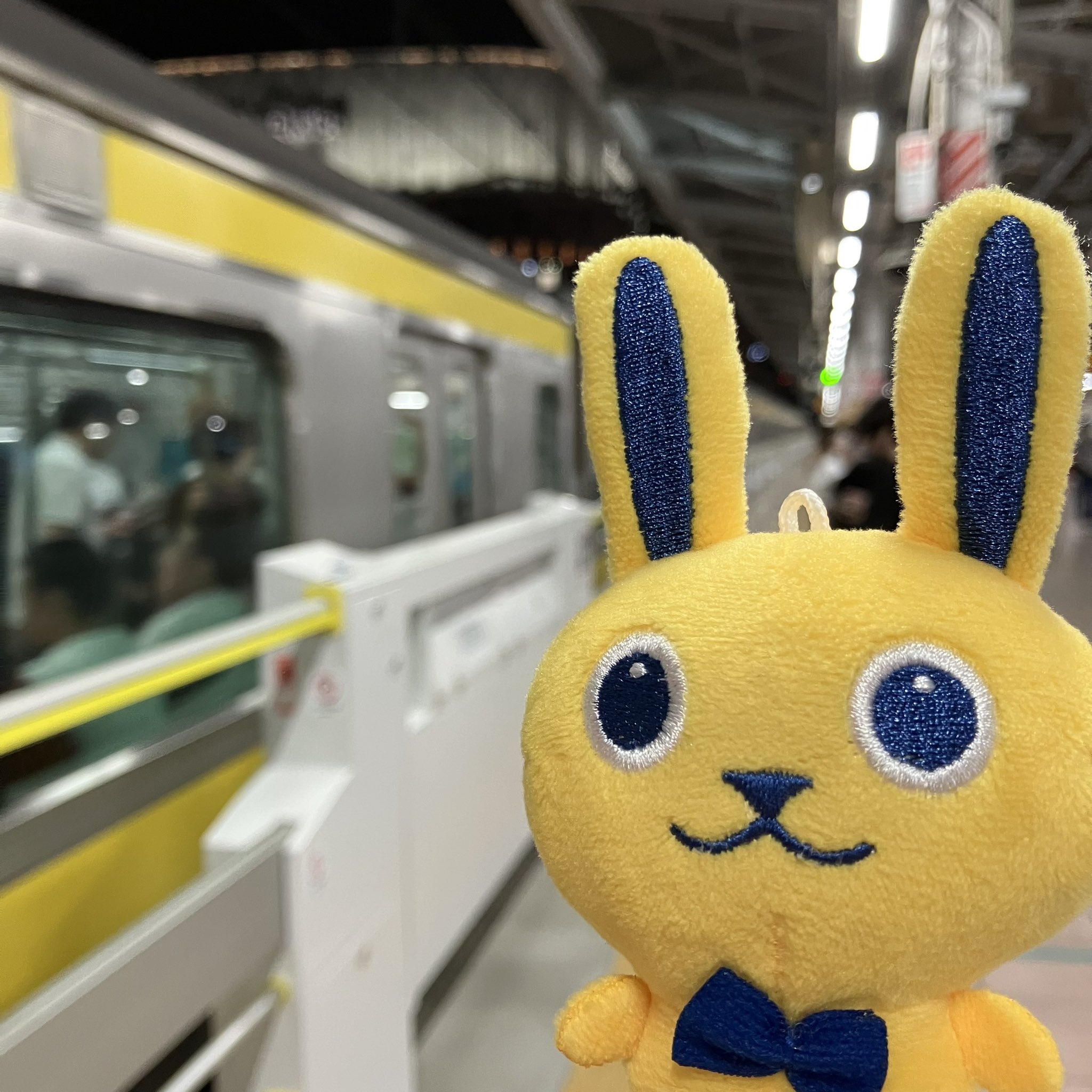 扇風機 楽天市場】【アウトレット：リモコン無し】シィー・ネット