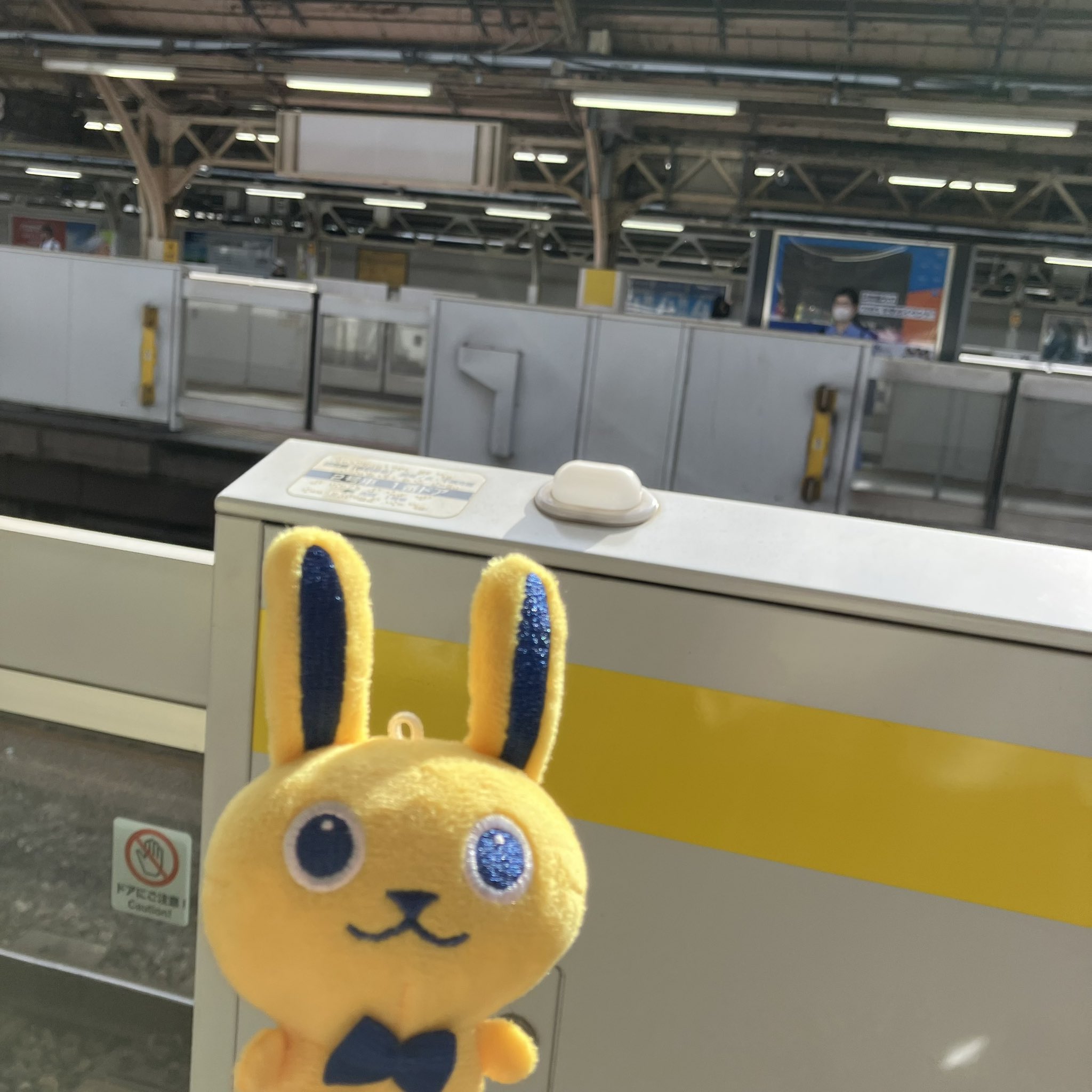 🐰扇風機ニキ on X: 