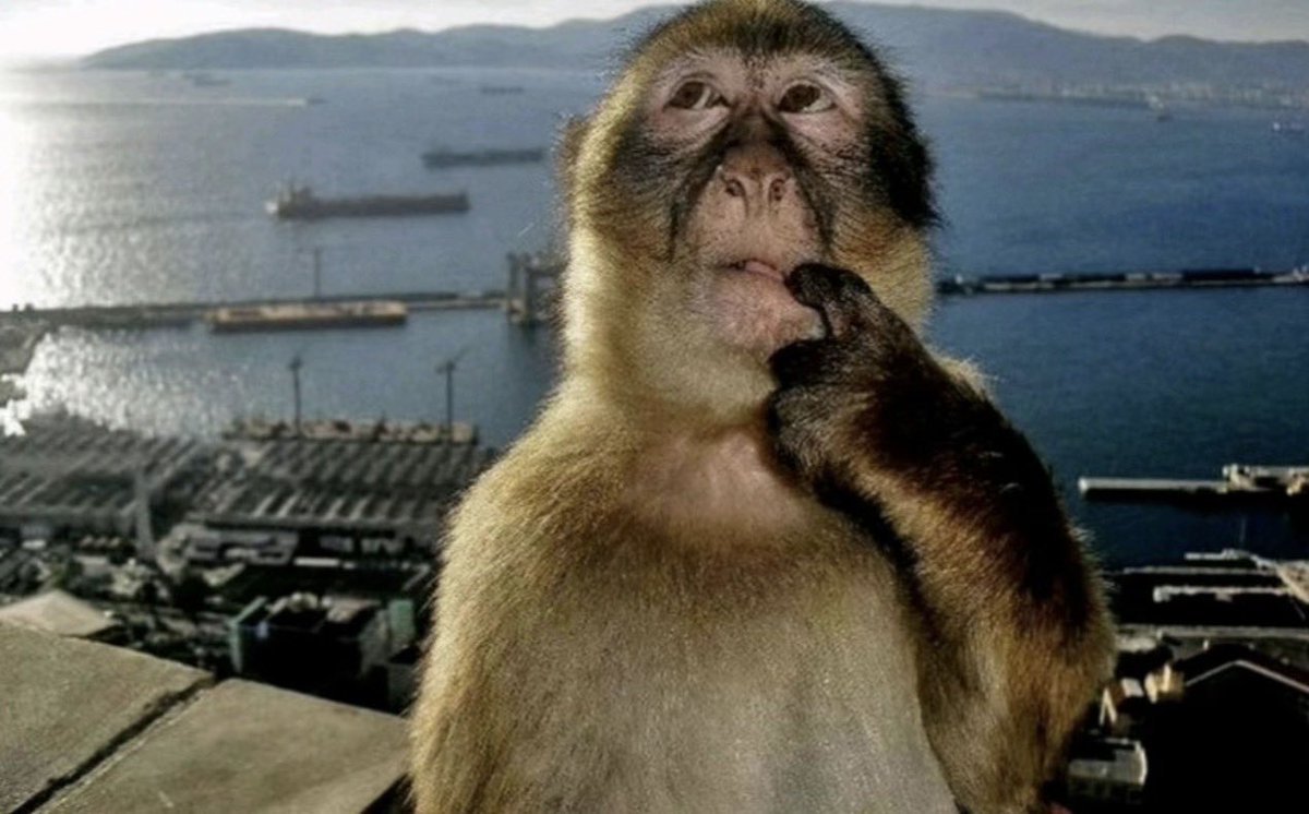 𝑎𝑗 ☁︎︎ tweet media