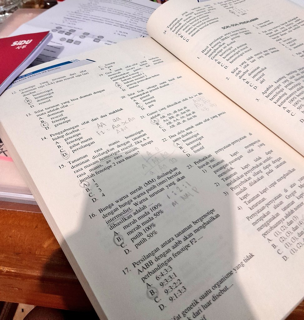 keyiraee's tweet image. ael's today progress 📖⚗️💭

hari ini aku belajar pewarisan sifat hehe! Ternyata seru banget 🧸🤸‍♀️ enjoy dan asik banget 🪀🧬💭 aku juga belajar bindo sebentar sih 😆 btw aku sambil dengerin haechan solo! 🧸🤸‍♀️🩷 rest well all 💤