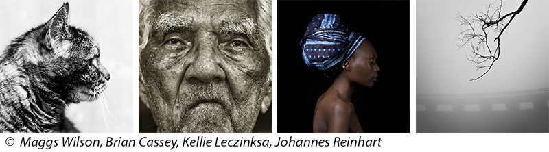 bignitwit's tweet image. AddOn 2025 Call For Entries - mailchi.mp/2e554cf85bcf/a…