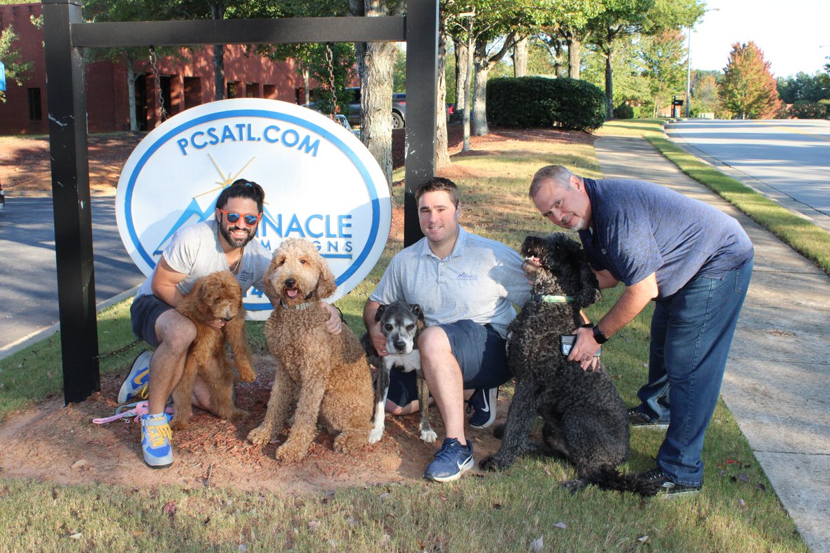 Today, with heavy hearts, we say goodbye to our Original Shop Dog, Chongo. Chongo wasn't just Stephen's companion—he was an employee. He never missed a day at the shop. Even if Stephen wasn't here, Chongo was.   With his loud bark and warm heart, he made everyone feel welcome.