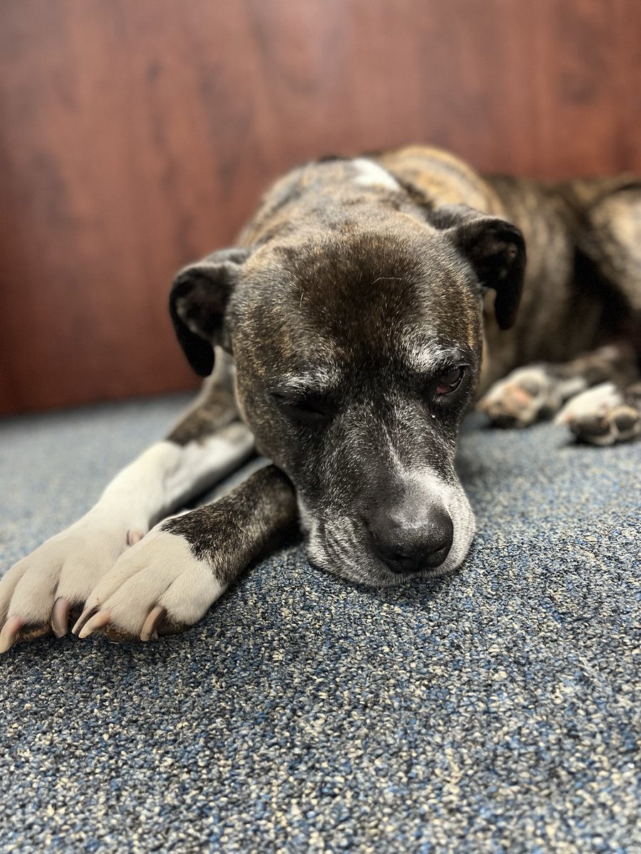 Pinnacle Custom Signs (@pinnaclecstmsgn) on Twitter photo 