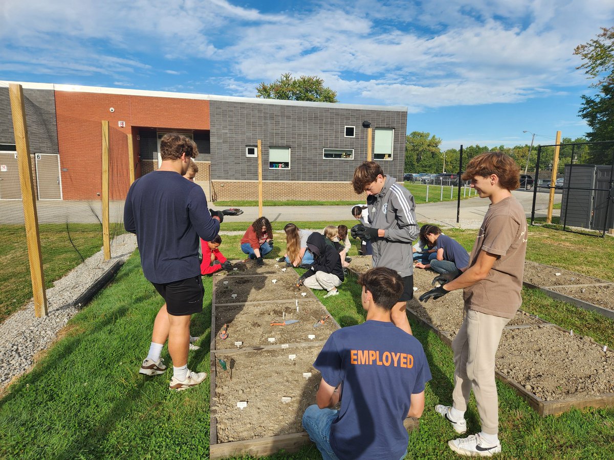2nd period thinning out sprouts!