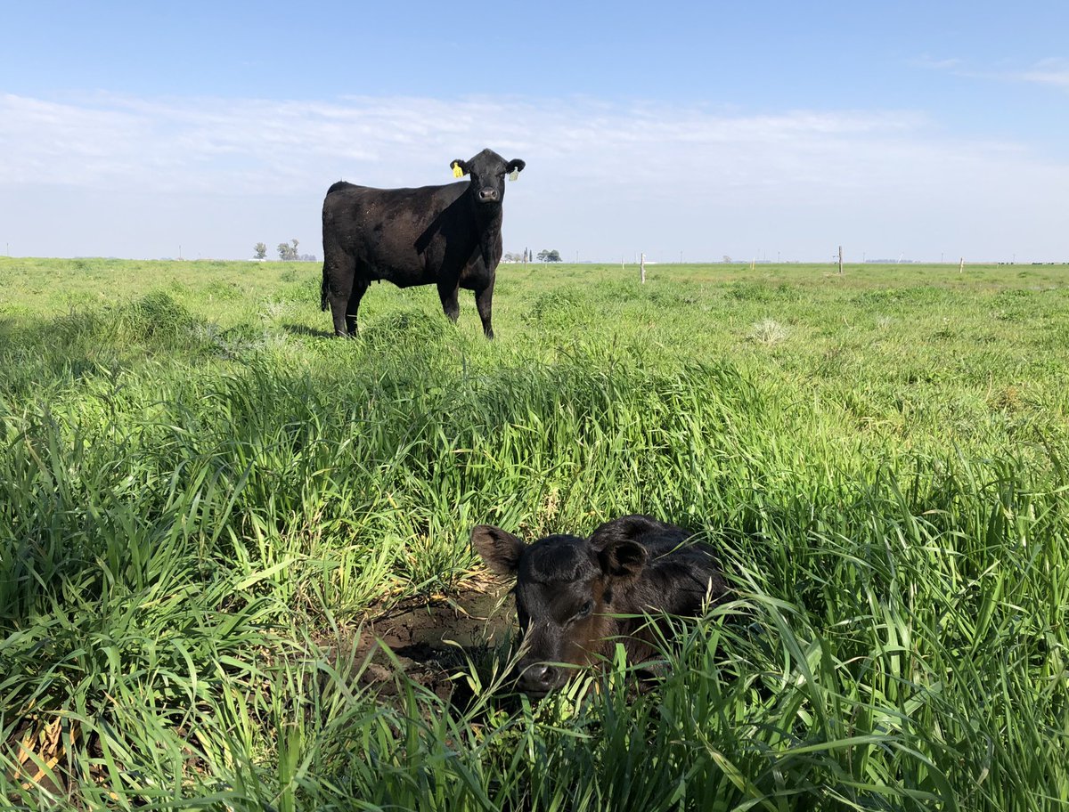 Dante Garciandia 🇦🇷 tweet media