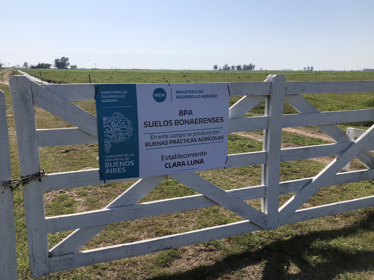 Dante Garciandia 🇦🇷 tweet media