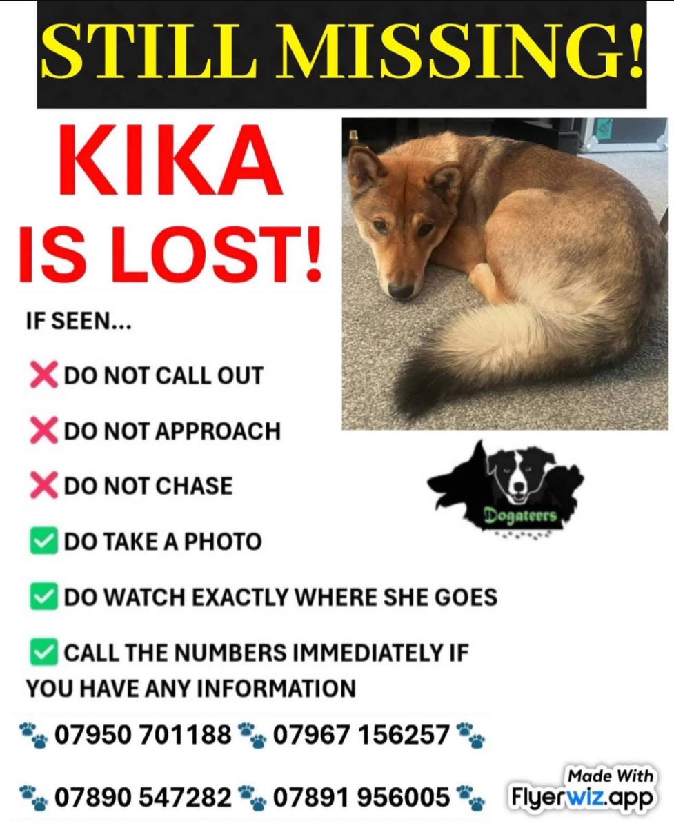 KIKA is still missing 
Has anyone seen her please 
#TheydonGarnon #EPPING #Essex 
#CM16 
Lost since 8/12/24 

doglost.co.uk/dog/196141

<a href="/EppingNews/">Epping News</a> <a href="/Number1essexgir/">number1essexgirl</a> <a href="/essexlive/">Essex Live</a> <a href="/qu1ncey/">Liz Quinn</a> <a href="/WaterhousePat/">Pat waterhouse</a> <a href="/02031961pat/">pat faulkner</a> <a href="/alid2912/">ali d</a> <a href="/BitofDecorum/">Debby Morris 🐕🐾💕</a> <a href="/juliagarland73/">Helping the lost home #TeamWales 🇬🇧</a> <a href="/TeaboyTeddy/">Mr Ted 🌈</a> <a href="/LindaK89229939/">LindaK💙🏴󠁧󠁢󠁳󠁣󠁴󠁿💙🏴󠁧󠁢󠁳󠁣󠁴󠁿💙</a>