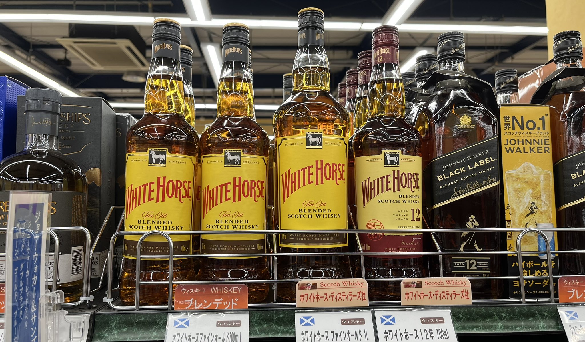 1咫様⑅/19 オールマイティ HWII 81M BOA(ダイヤル／ミッドカット