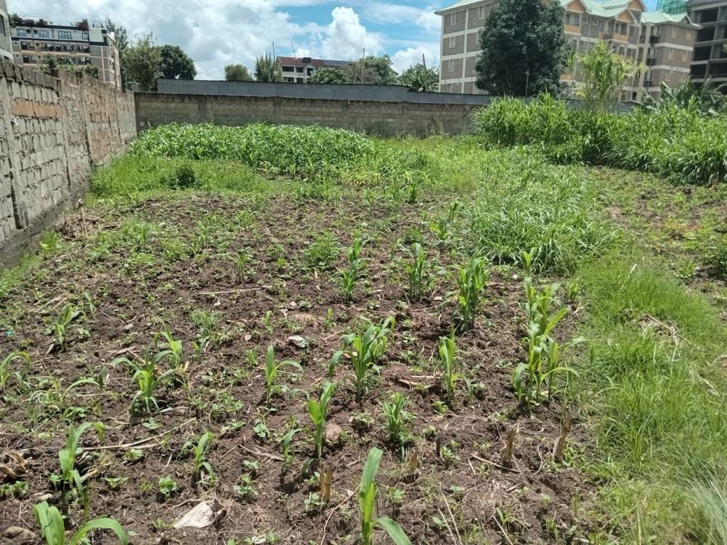 BernardMur22609's tweet photo. Opposite race course 20m from Ngong road slightly bigger than 1/4 Ideal for apartments. https://t.co/XOuVxJjpc6