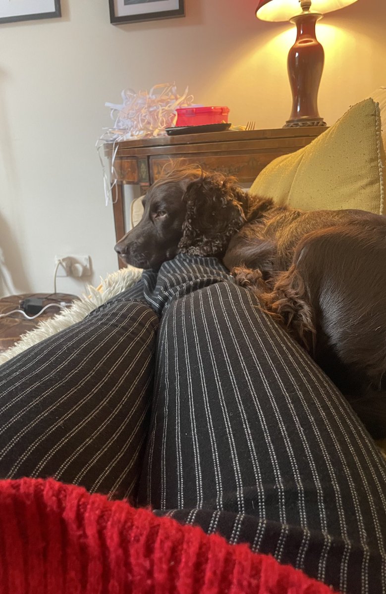 Can’t move or do anything…oh well 🤷🏼