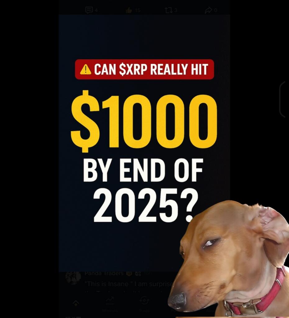 MoNoNoK3 tweet media